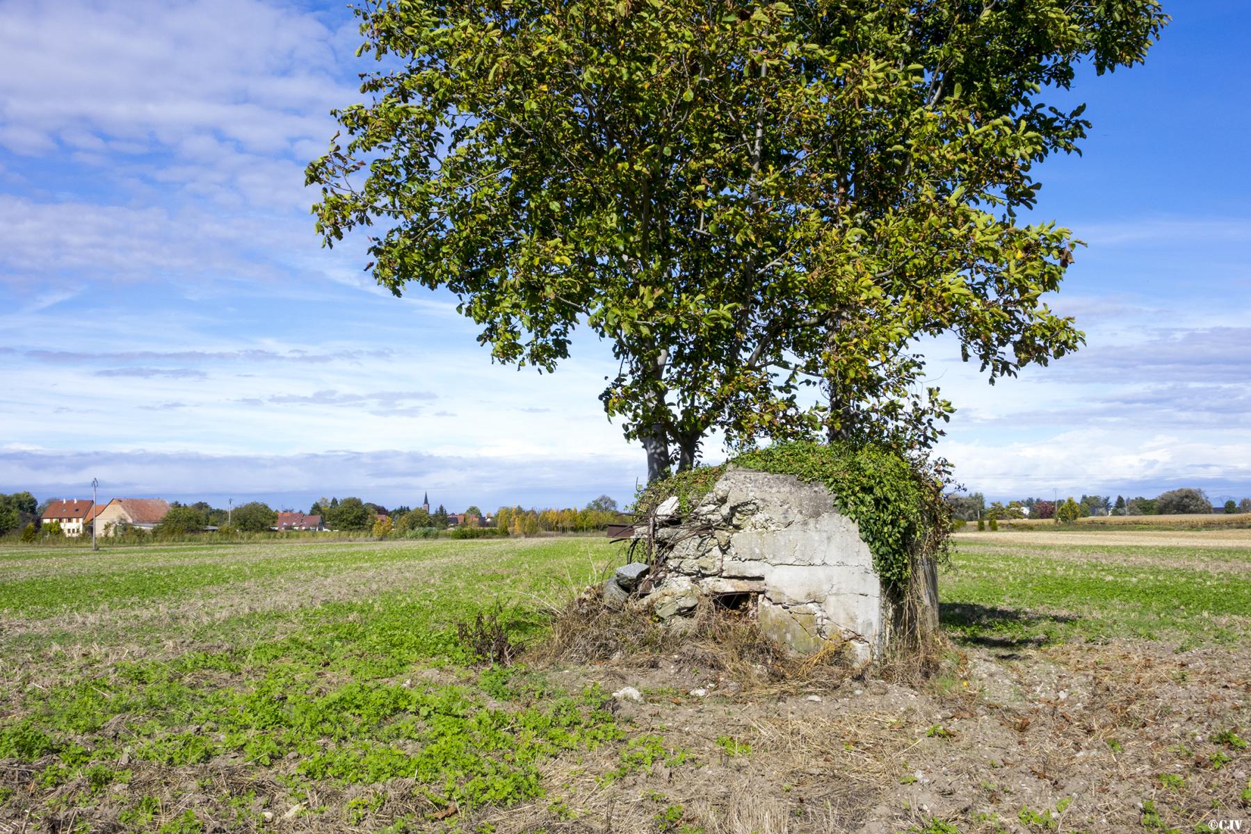 Ligne Maginot - SOELGEL - (Blockhaus pour arme infanterie) - 