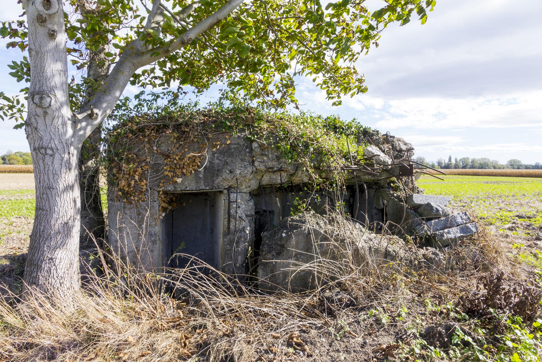 Ligne Maginot - SOELGEL - (Blockhaus pour arme infanterie) - 