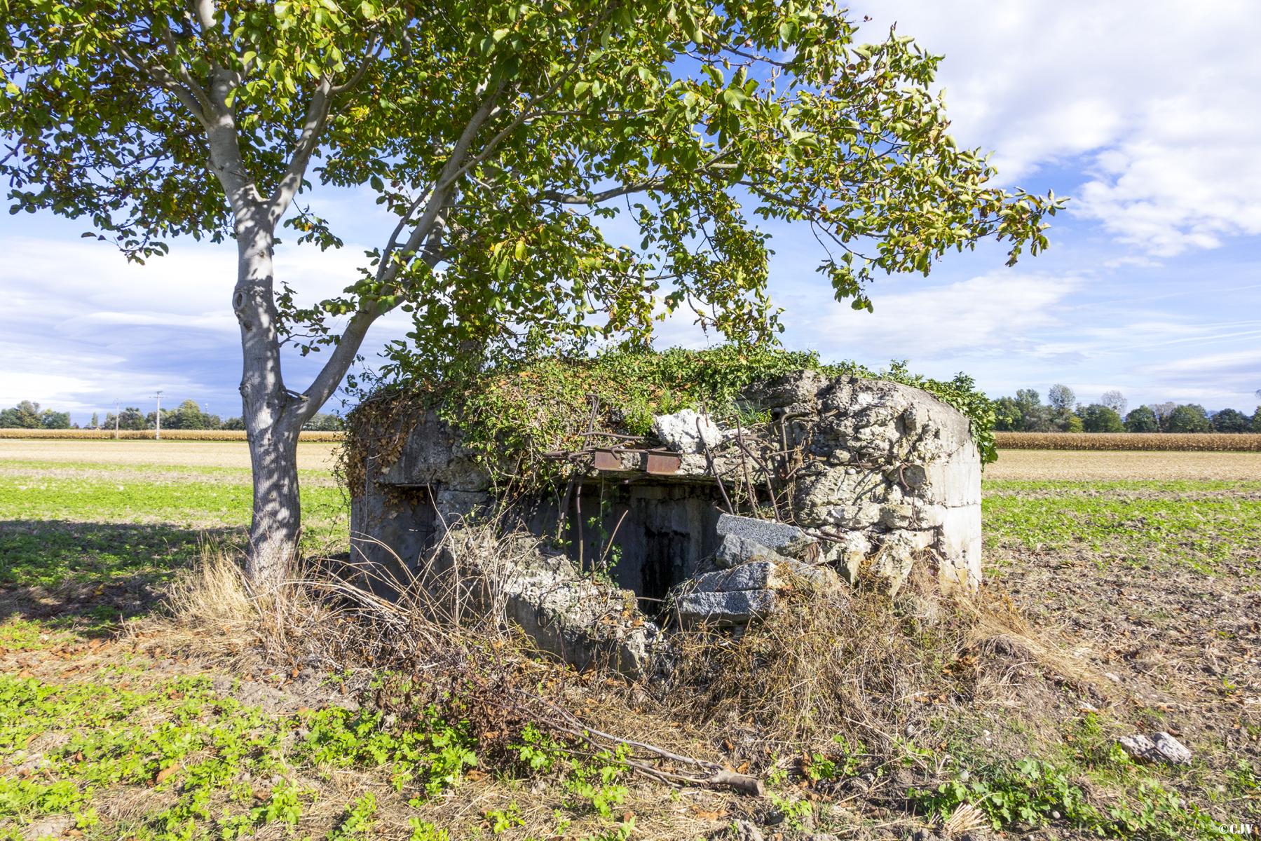 Ligne Maginot - SOELGEL - (Blockhaus pour arme infanterie) - 