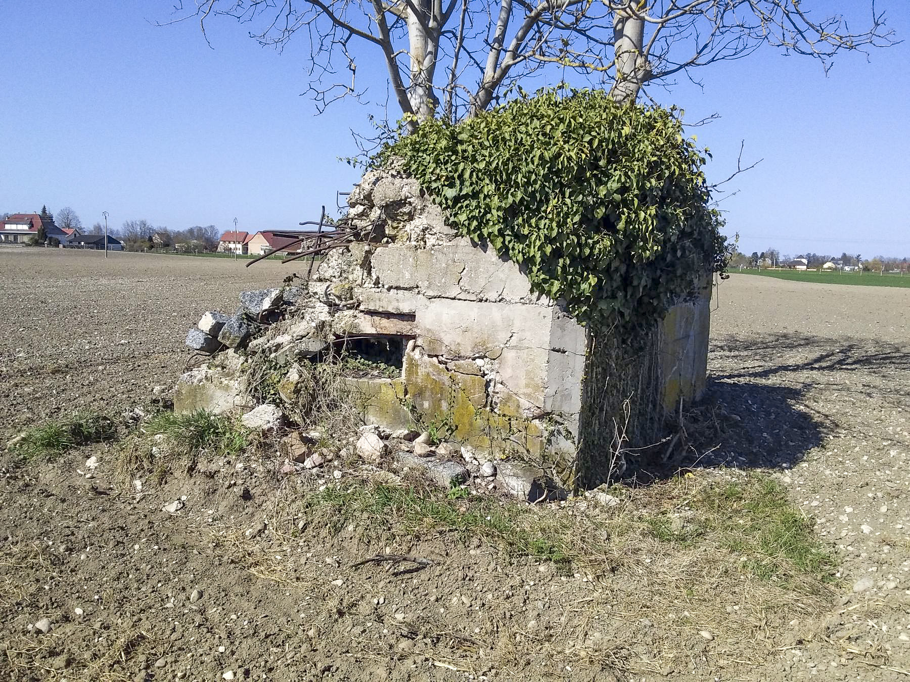 Ligne Maginot - SOELGEL - (Blockhaus pour arme infanterie) - 