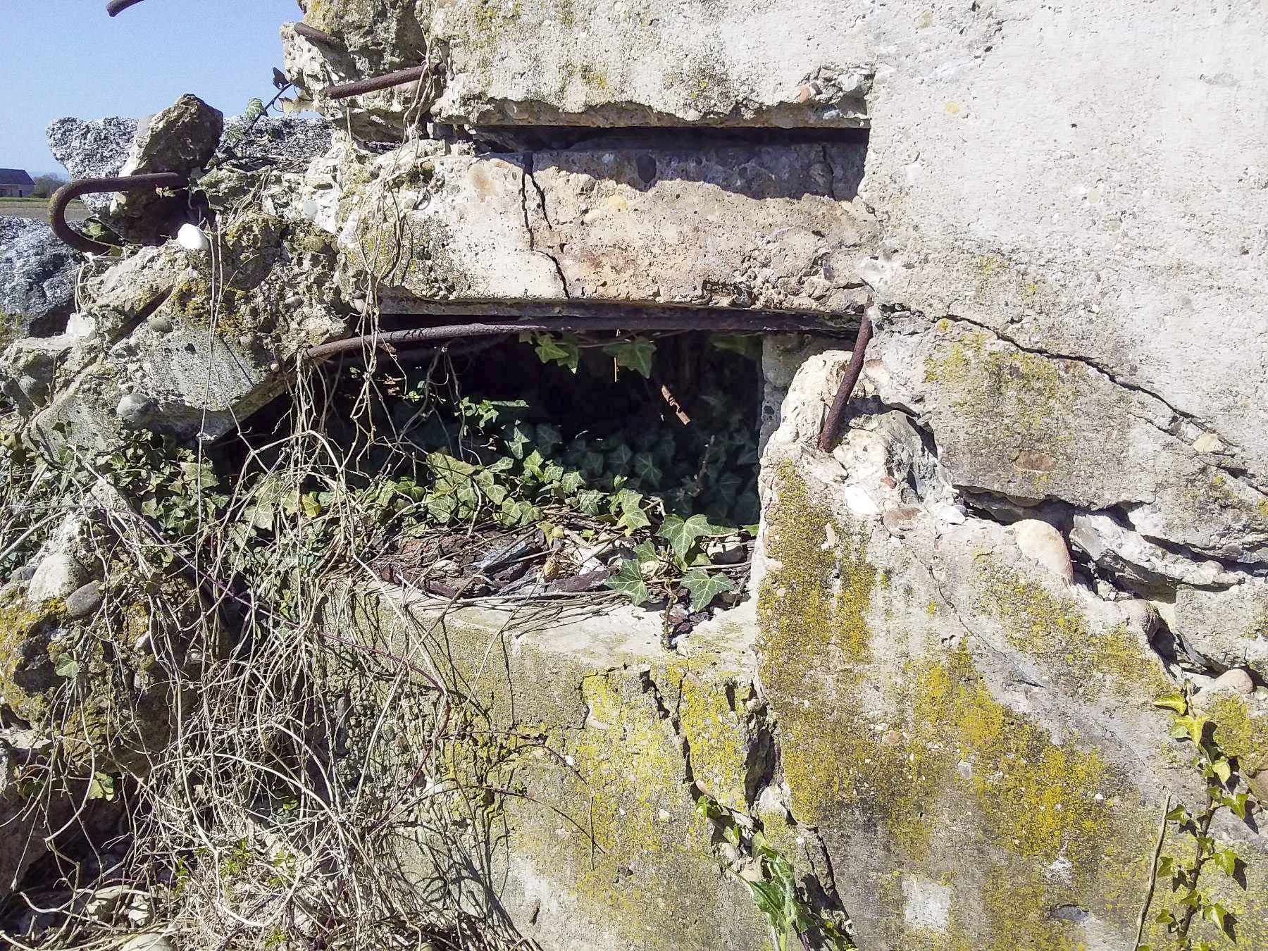 Ligne Maginot - SOELGEL - (Blockhaus pour arme infanterie) - 