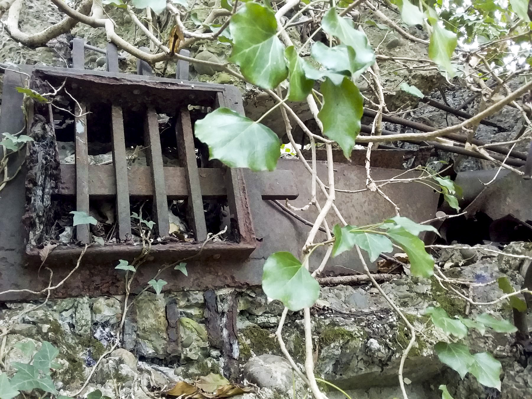 Ligne Maginot - WALDSBURGER NORD - (Blockhaus pour arme infanterie) - 