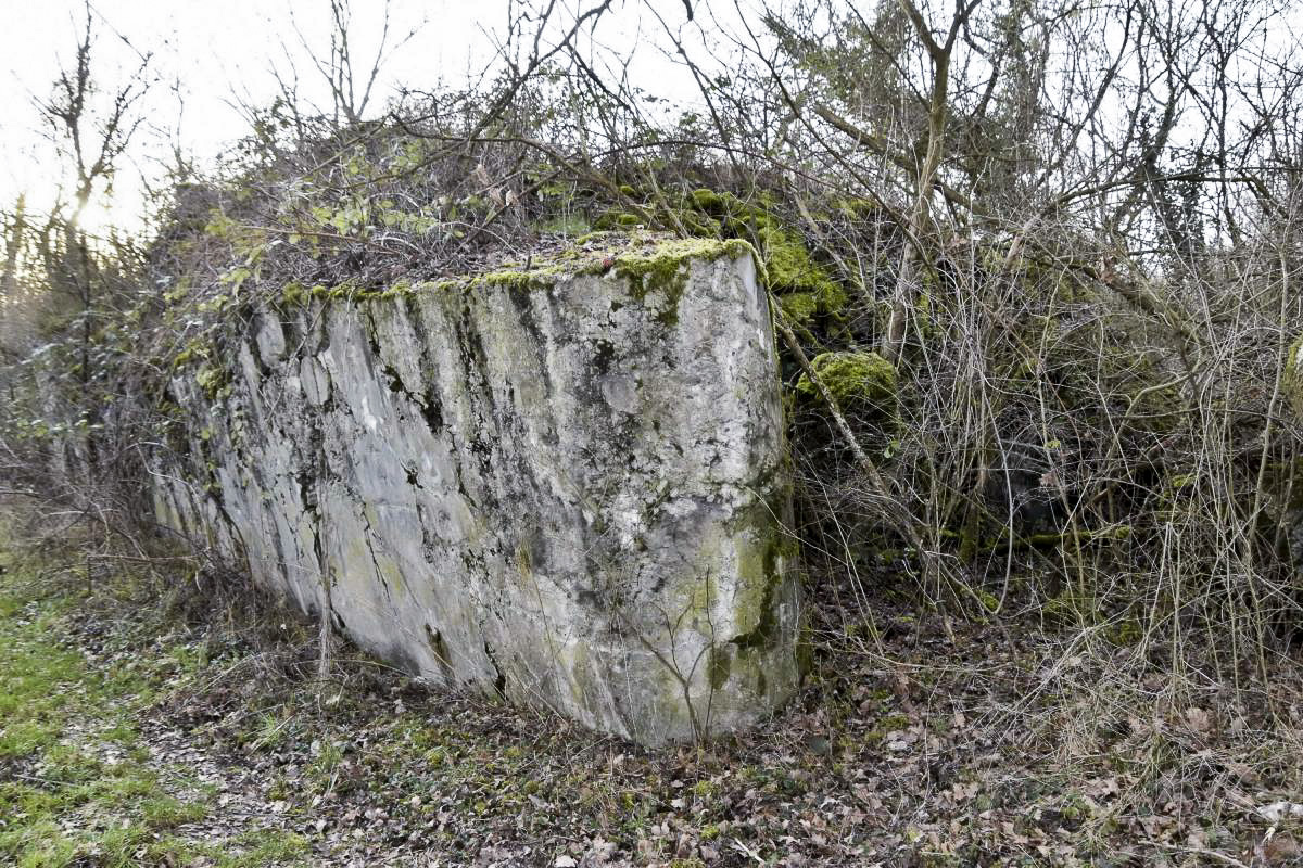 Ligne Maginot - 21/1 - NAMBSHEIM RHIN - (Casemate d'infanterie - Double) - Façade coté Rhin - Angle nord