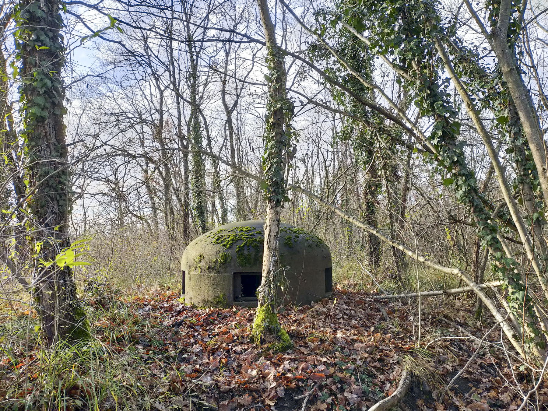 Ligne Maginot - 26/2 - NAMBSHEIM DIGUE - (Abri) - La cloche GFM
