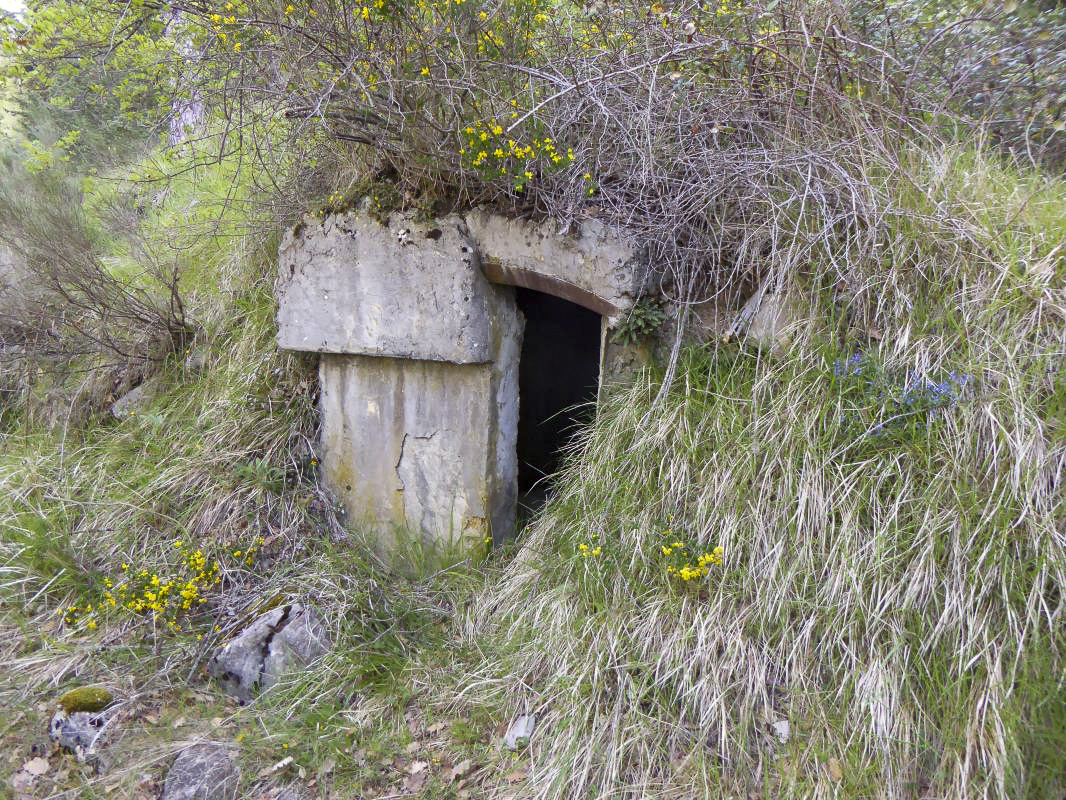 Ligne Maginot - COL DE BRAUS EST 1 - (Abri) - Abri 1
