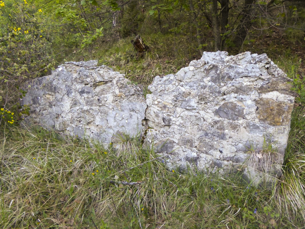 Ligne Maginot - COL de BRAUS Est 1 (Abri) - Restes du casernement