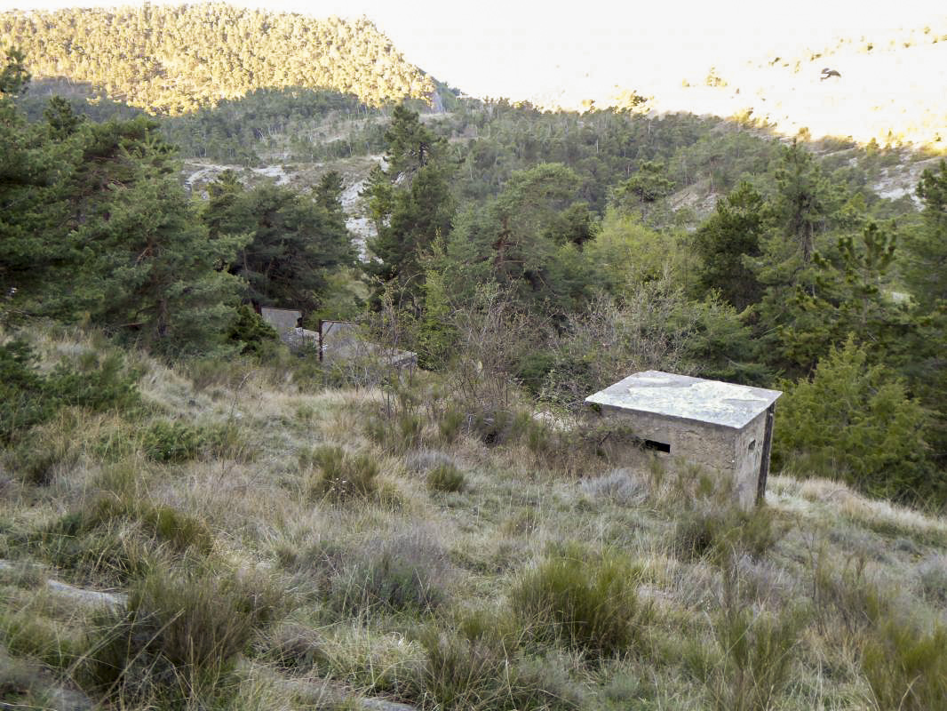 Ligne Maginot - COL DE BRAUS (SOUS-SECTEUR SOSPEL - 40° DBAF) - (PC de Sous-Secteur) - 