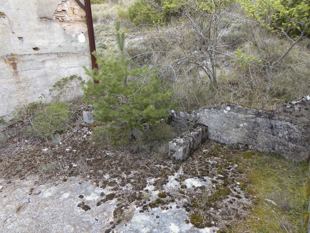 Ligne Maginot - COL DE BRAUS (SOUS-SECTEUR SOSPEL - 40° DBAF) - (PC de Sous-Secteur) - Casernement 2