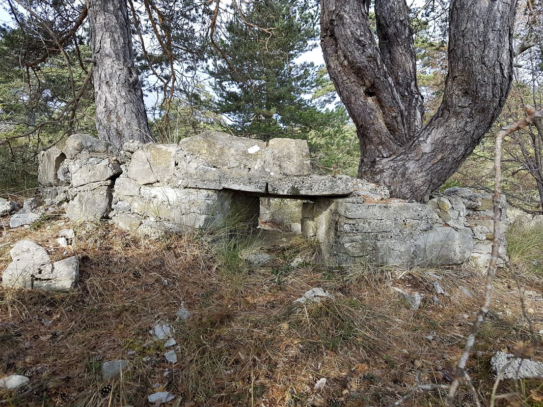Ligne Maginot - COL DE BRAUS - (Blockhaus pour arme infanterie) - 