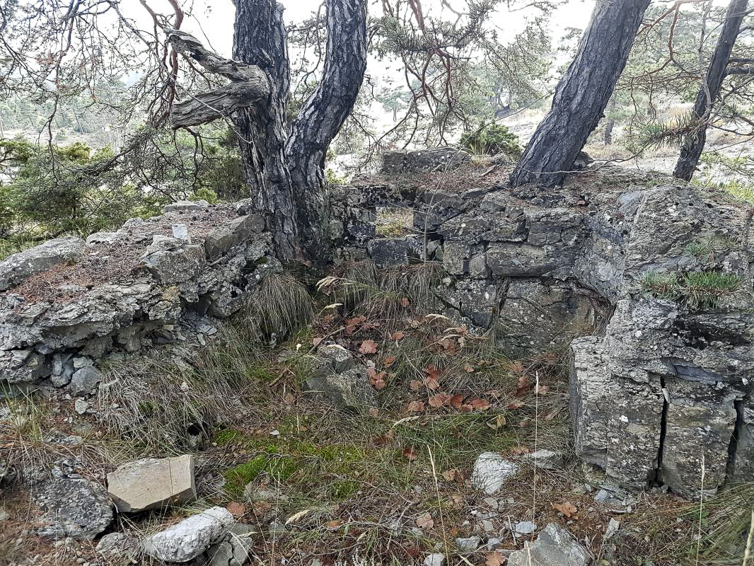 Ligne Maginot - COL DE BRAUS - (Blockhaus pour arme infanterie) - 