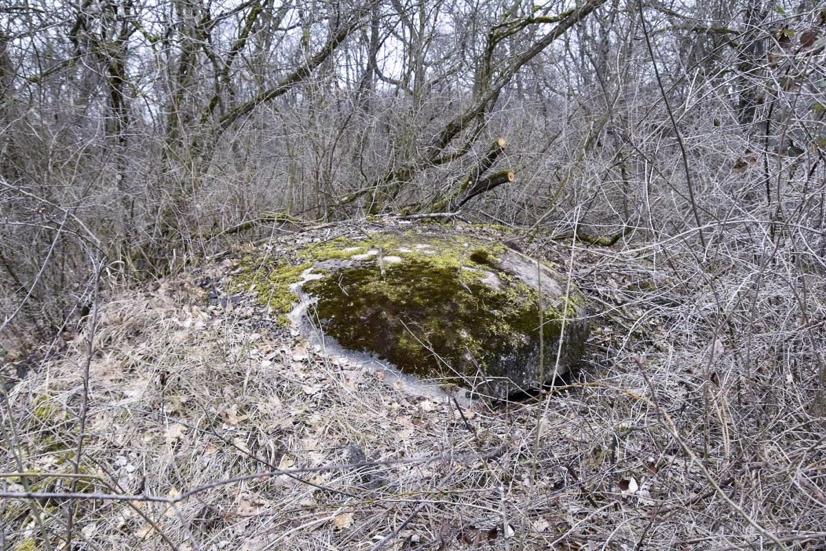 Ligne Maginot - BOIS DE DESSENHEIM SUD 2 - (Blockhaus pour arme infanterie) - Coupole 7e RM