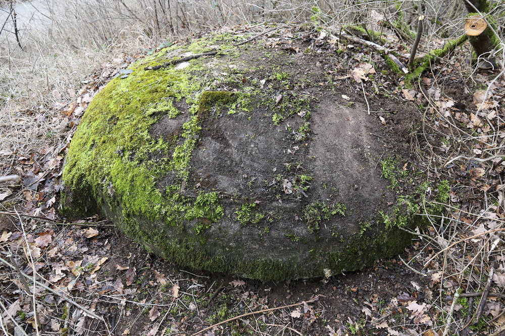 Ligne Maginot - BOIS DE DESSENHEIM SUD 2 - (Blockhaus pour arme infanterie) - 