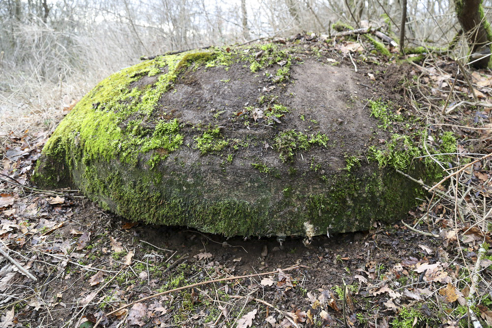 Ligne Maginot - BOIS DE DESSENHEIM SUD 2 - (Blockhaus pour arme infanterie) - 