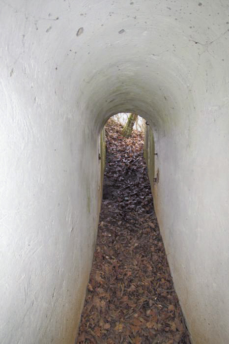 Ligne Maginot - BOIS DE DESSENHEIM SUD 2 - (Blockhaus pour arme infanterie) - 