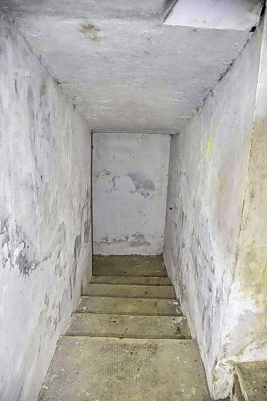 Ligne Maginot - BOIS DE DESSENHEIM SUD 3 - (Blockhaus pour arme infanterie) - Escalier de droite menant à l'ancien abri allemand (WW1).