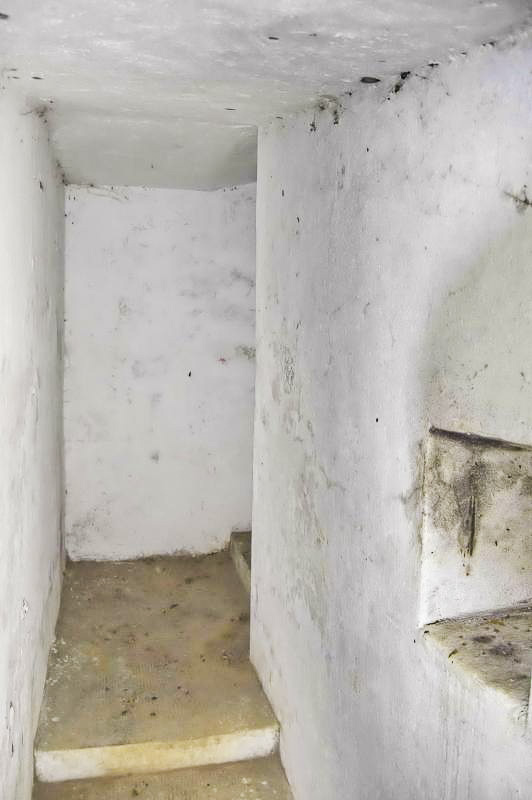 Ligne Maginot - BOIS DE DESSENHEIM SUD 3 - (Blockhaus pour arme infanterie) - Second escalier de droite menant à l'ancien abri allemand (WW1), vue vers la sortie