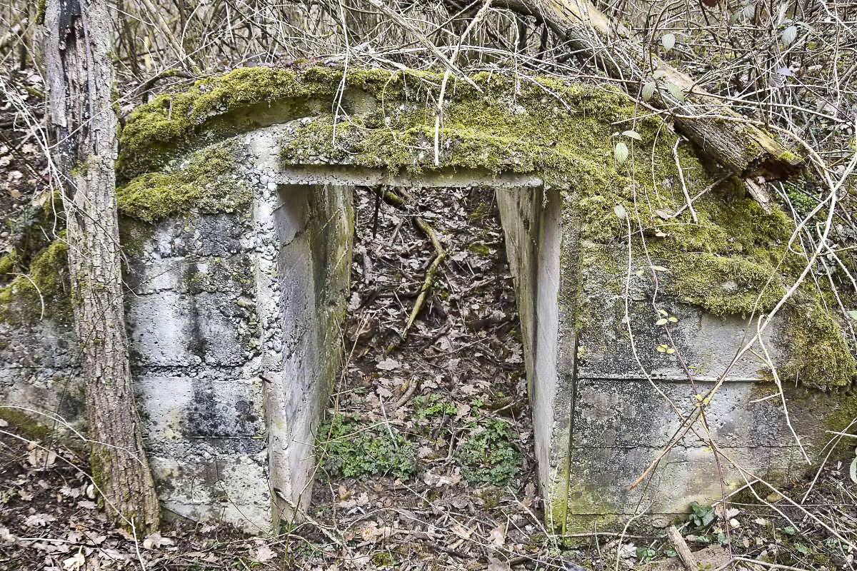 Ligne Maginot - BOIS DE DESSENHEIM SUD 5 - (Abri) - Mur d'entrée, les tôles métros de couverture ont disparu