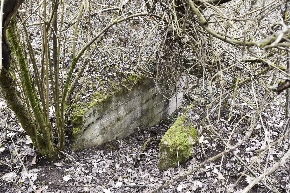 Ligne Maginot - BOIS DE DESSENHEIM SUD 5 - (Abri) - L'entrée