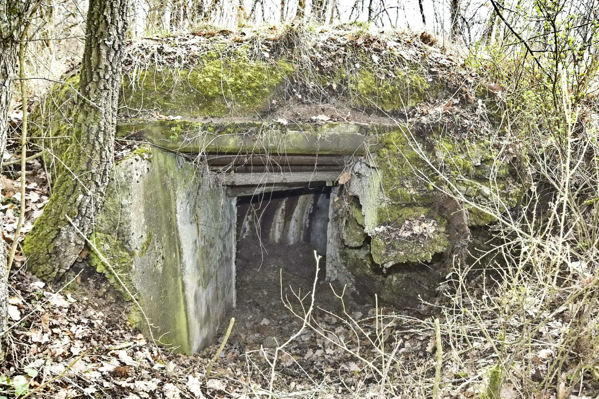 Ligne Maginot - BOIS DE DESSENHEIM SUD 6 - (Abri) - Entrée faite par les français