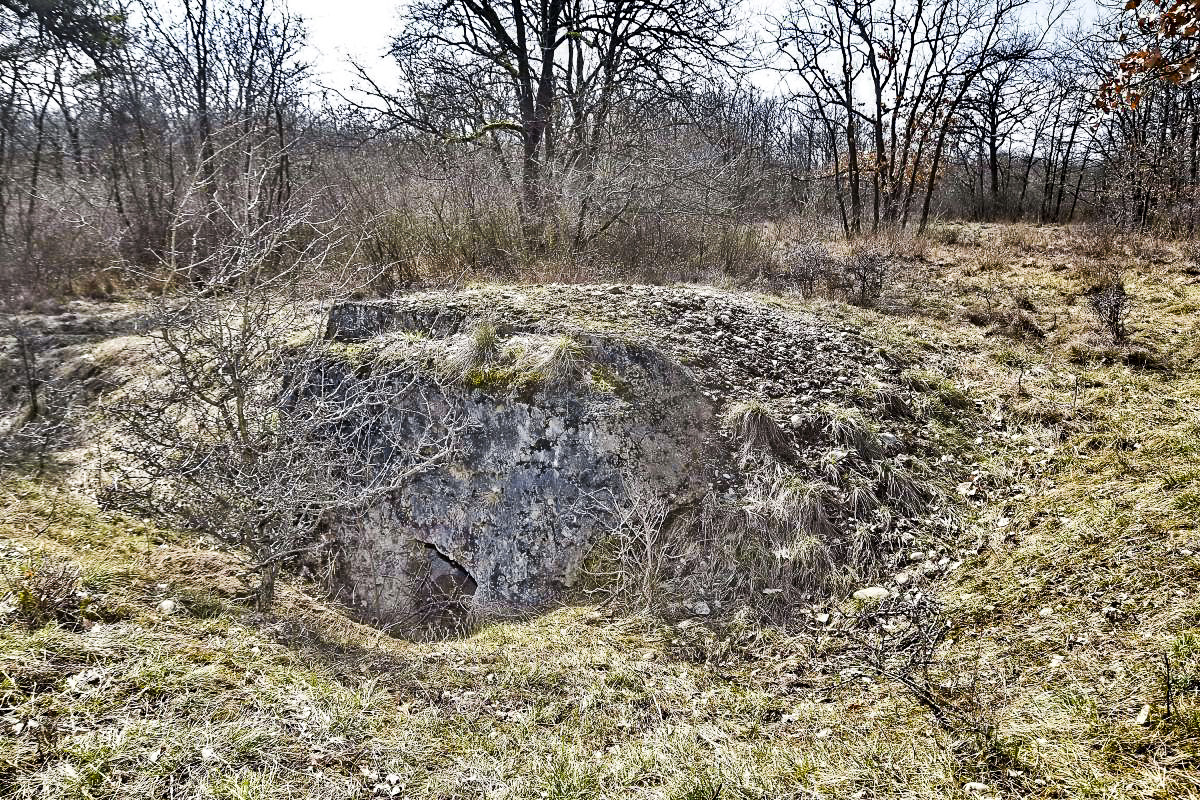 Ligne Maginot - BOIS DE DESSENHEIM SUD 7 - (Position d'artillerie préparée) - Abri ex-allemand