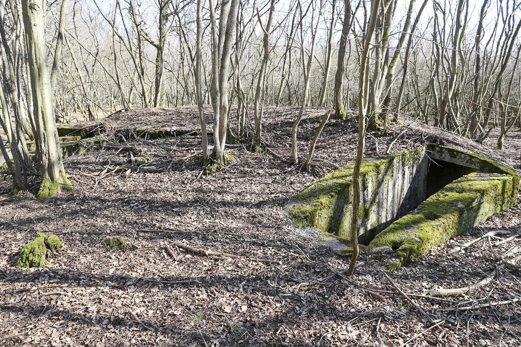 Ligne Maginot - FORET DE WIDENSOLEN CARREFOUR 192 1 - (Abri) - Abri à une salle, 2 entrées. 