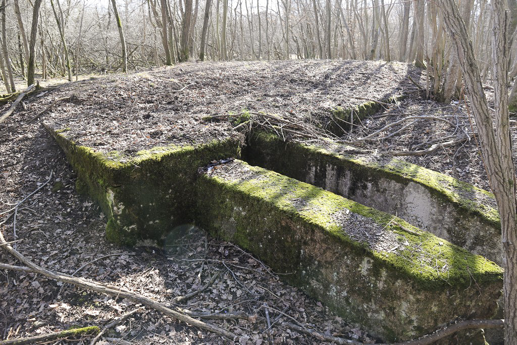 Ligne Maginot - FORET DE WIDENSOLEN CARREFOUR 192 1 - (Abri) - Abri à une salle, 2 entrées. 