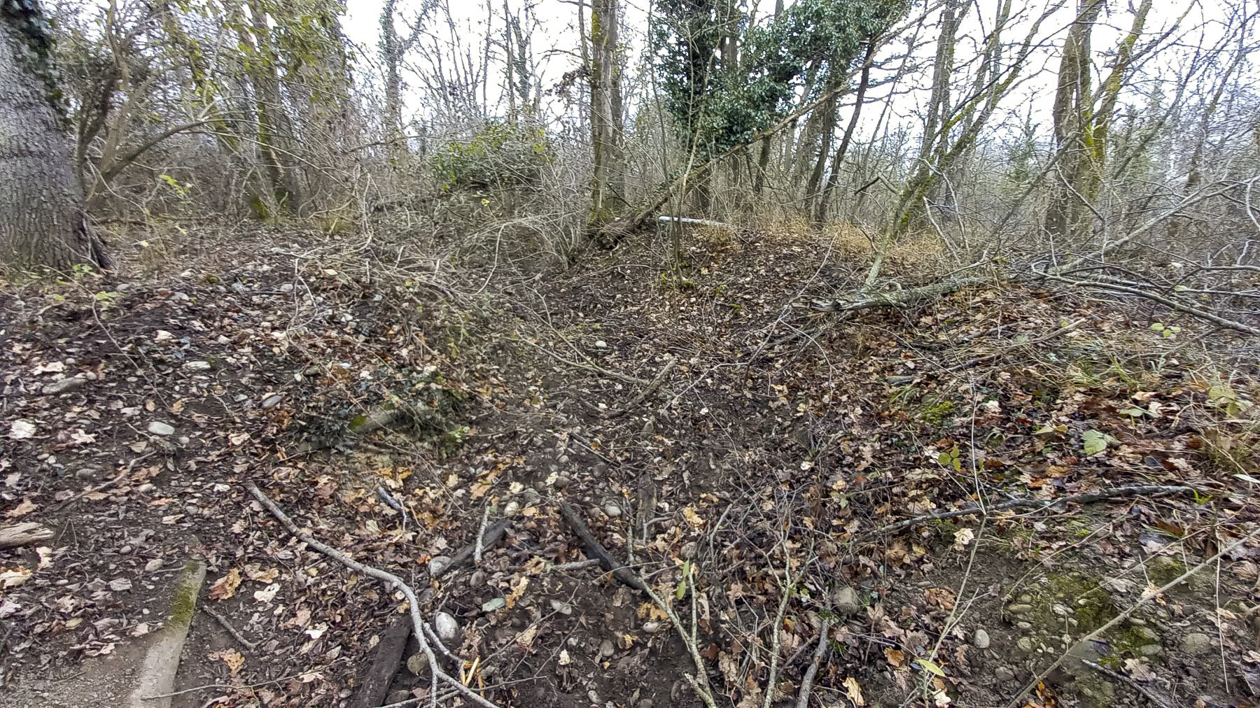 Ligne Maginot - NAMBSHEIM EST 3 - (Blockhaus de type indéterminé) - Tranchée visible sur le terrain.