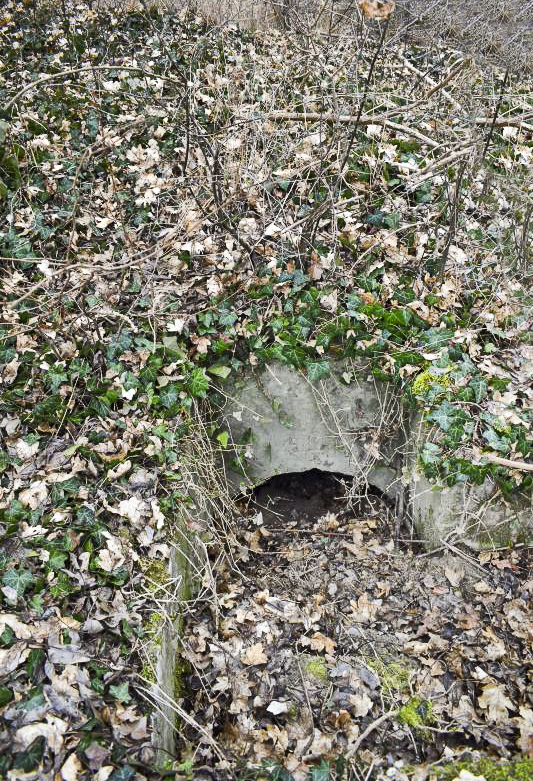 Ligne Maginot - PAVILLON DE CHASSE 1 - (Blockhaus pour arme infanterie) - Une des entrées avec l'année et 80 ans d'humus