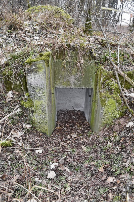 Ligne Maginot - STOECKLE - GOLDGRUBE 1 - (Blockhaus pour arme infanterie) - Entrée sud