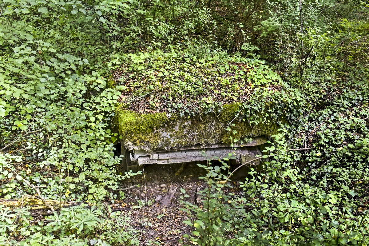 Ligne Maginot - BANTZENHEIM - (Stand de tir) - Seconde entrée de la tranchée couverte à l’arrière du stand de tir