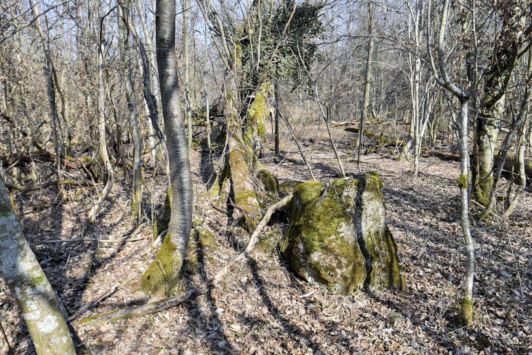 Ligne Maginot - ECLUSE 46 OUEST - (Blockhaus pour arme infanterie) - 
