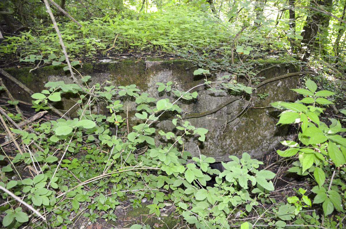 Ligne Maginot - STEINHUBEL NORD 3 - (Abri) - Entrée nord