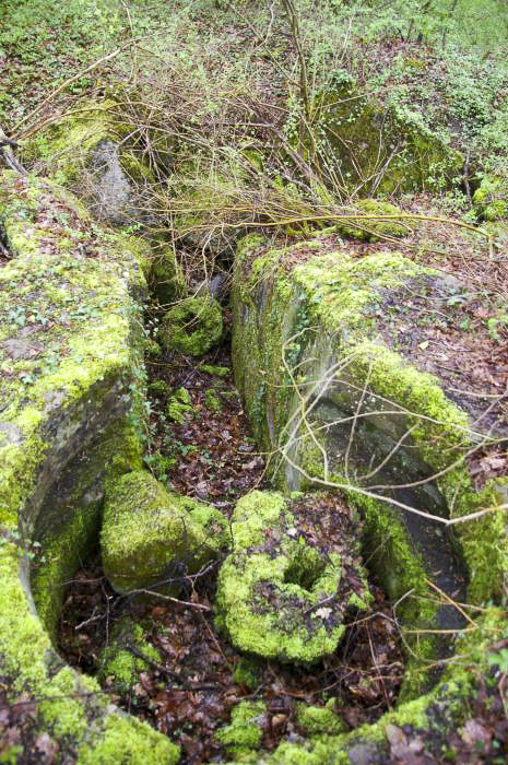 Ligne Maginot - GRUNHUTTE 3 - (Cuve pour arme d'infanterie) - Cuve pour TD protégeant la route forestière Grunhütte-Blodelsheim