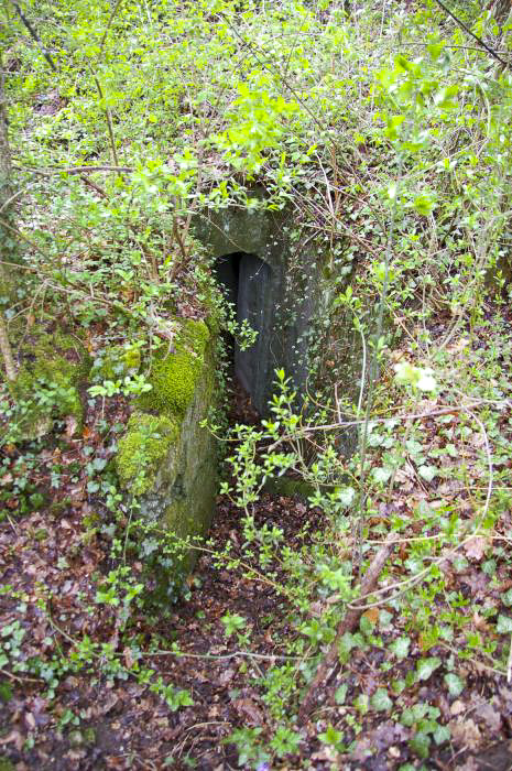 Ligne Maginot - GRUNHUTTE 4 - (Cuve pour arme d'infanterie) - Entrée Est de la cuve