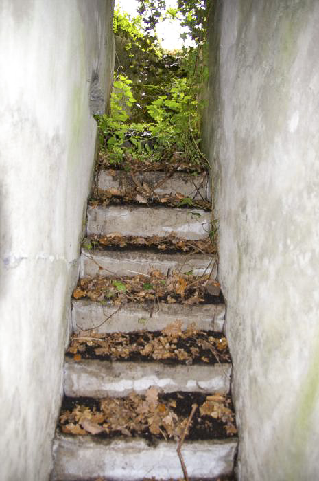 Ligne Maginot - GRUNHUTTE 4 - (Cuve pour arme d'infanterie) - Escalier est 