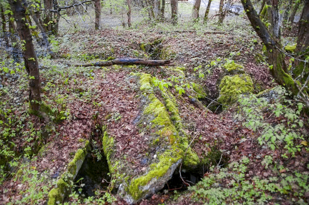 Ligne Maginot - GRUNHUTTE 5 - (Cuve pour arme d'infanterie) - Entrée sud, (vers l'arbre mort). Entrée nord (à droite de l'arbre à 2 troncs).
