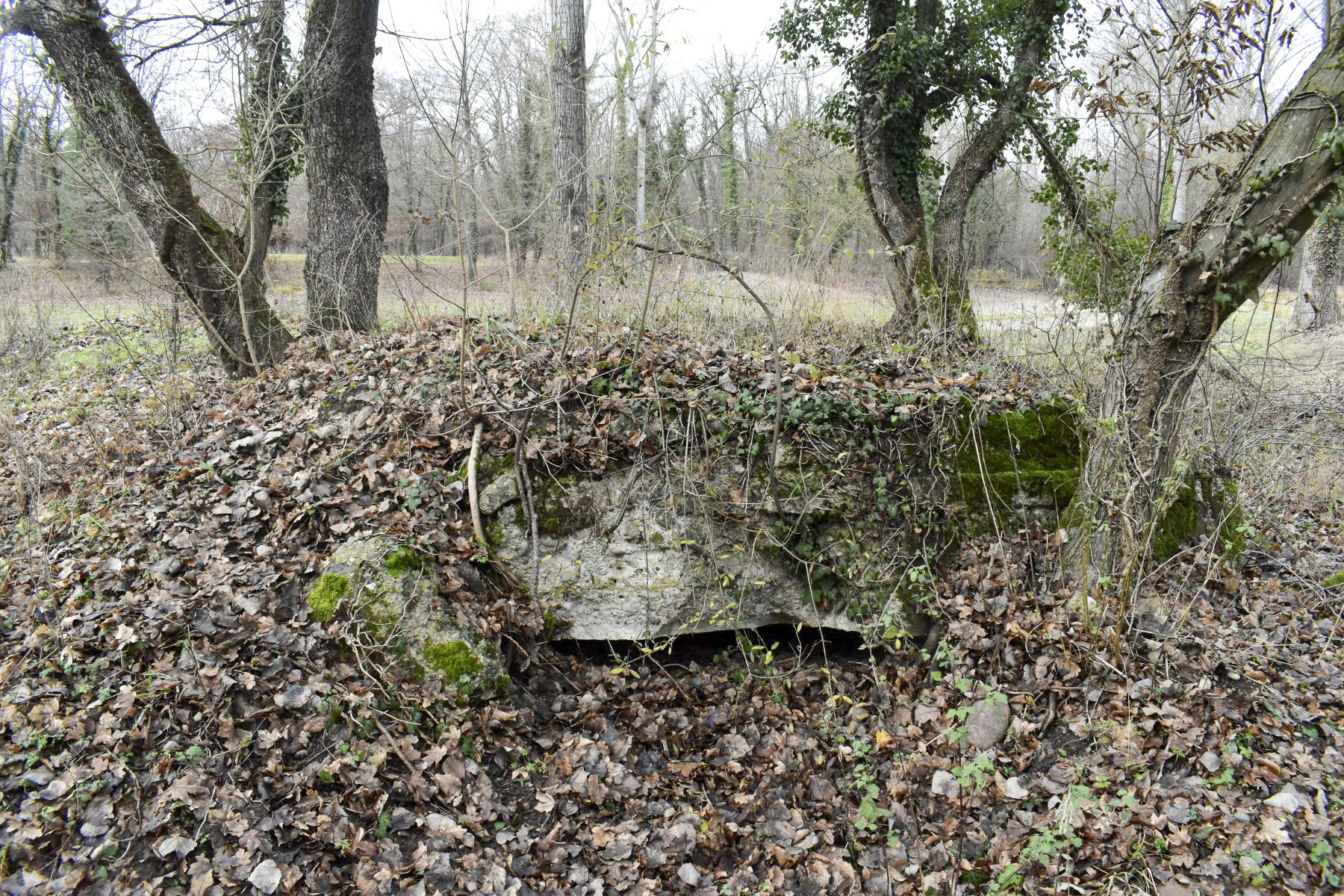 Ligne Maginot - PA DE HOMBOURG 5 - (Blockhaus de type indéterminé) - Vu sur le créneau