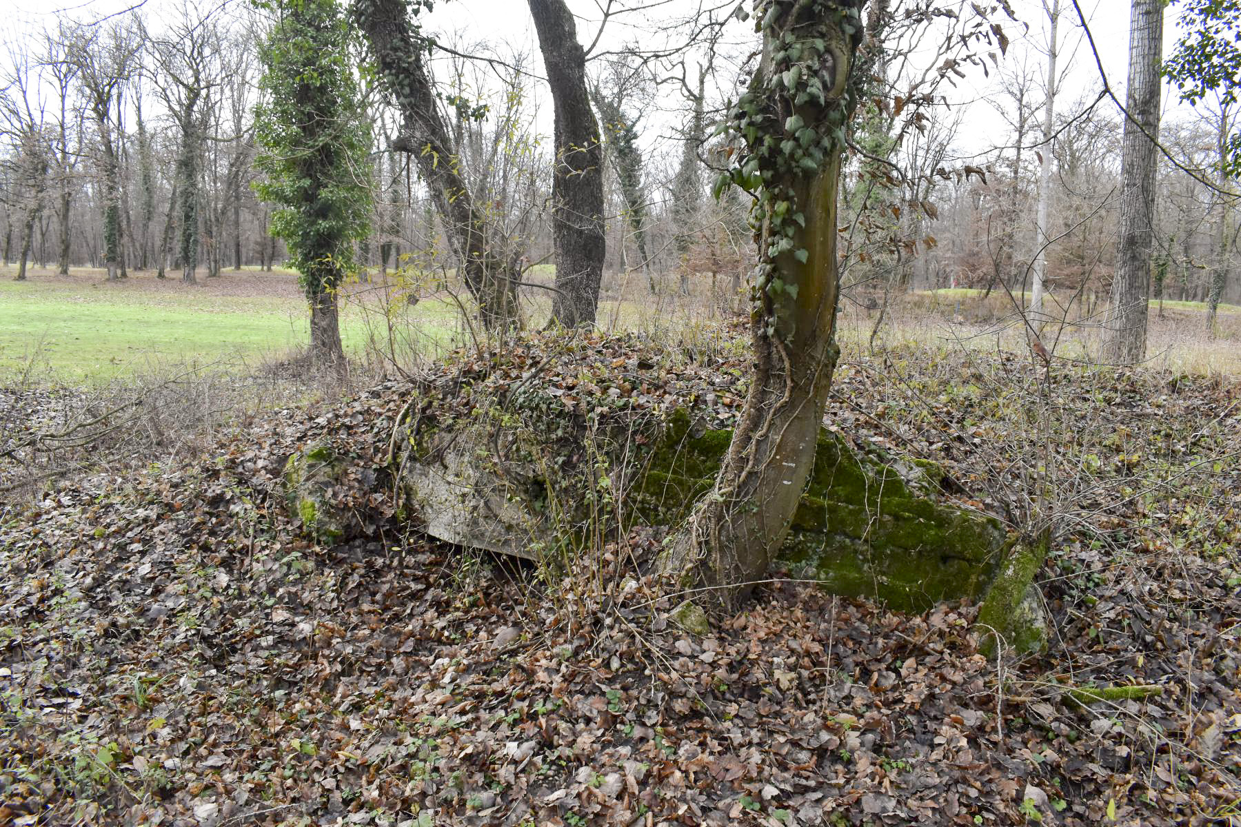 Ligne Maginot - PA DE HOMBOURG 5 - (Blockhaus de type indéterminé) - Vu sur le créneau