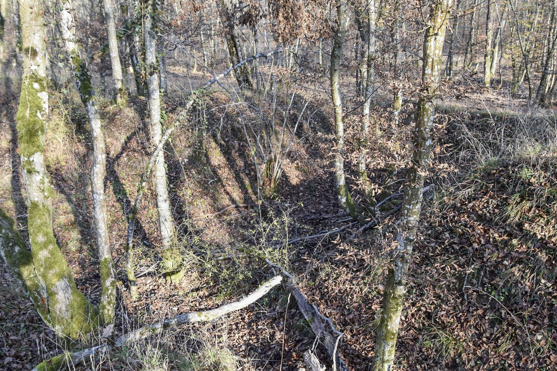Ligne Maginot - JULIETTE - (Position d'artillerie préparée) - Excavation 