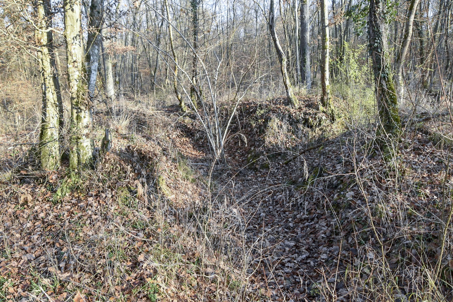 Ligne Maginot - JULIETTE - (Position d'artillerie préparée) - Excavation avec tranchés
