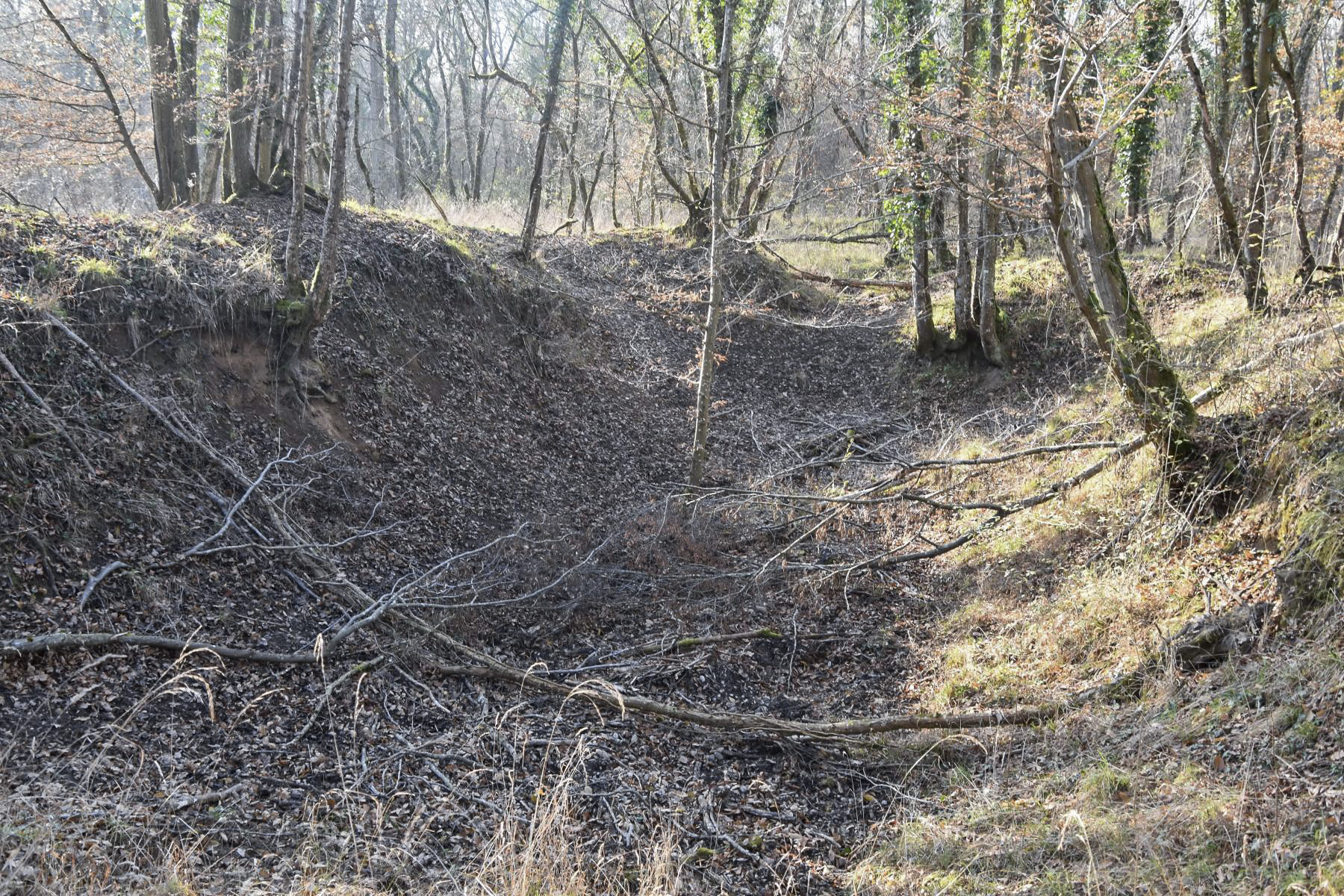Ligne Maginot - JULIETTE - (Position d'artillerie préparée) - Vue la taille ce pouvait être un des emplacements de 220 C-16.
