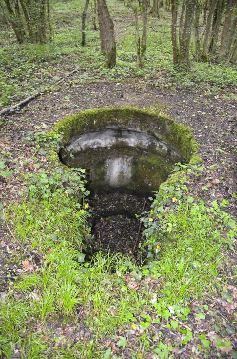 Ligne Maginot - OTTMARSHEIM NORD 1 - (Cuve pour arme d'infanterie) - Vue sur l'encuvement coté zone de tir