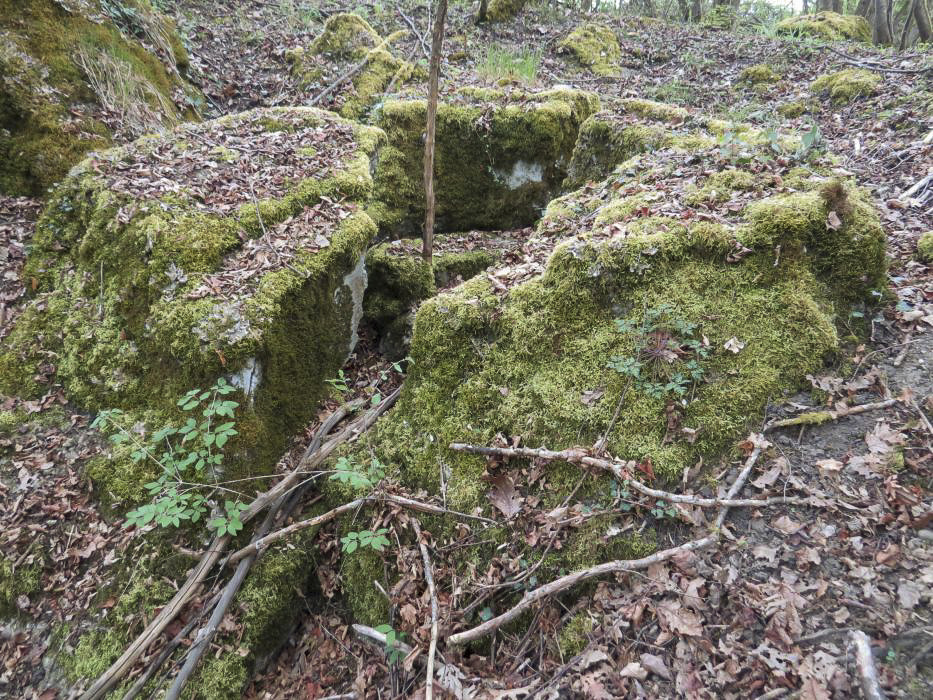 Ligne Maginot - PA DE BANTZENHEIM SUD 1 - (Cuve pour arme d'infanterie) - L'emplacement circulaire de la chambre de tir est visible.