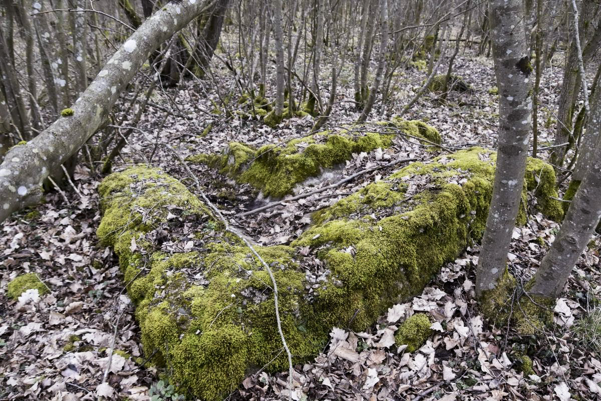 Ligne Maginot - PA DE BANTZENHEIM SUD 1 - (Cuve pour arme d'infanterie) - Vestiges ressemblant au plafond du couloir.