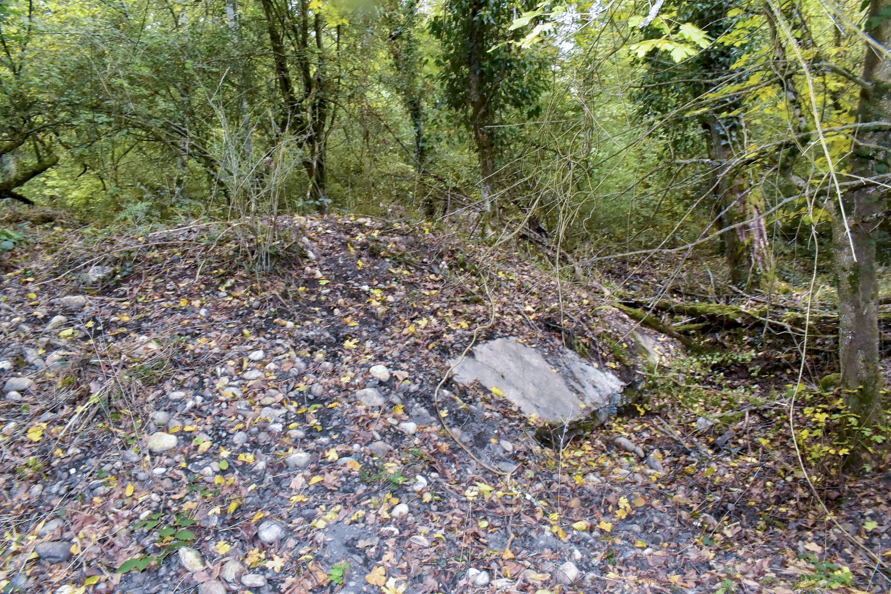 Ligne Maginot - RADBRUNNEN 6 - (PC) - Dessus visible