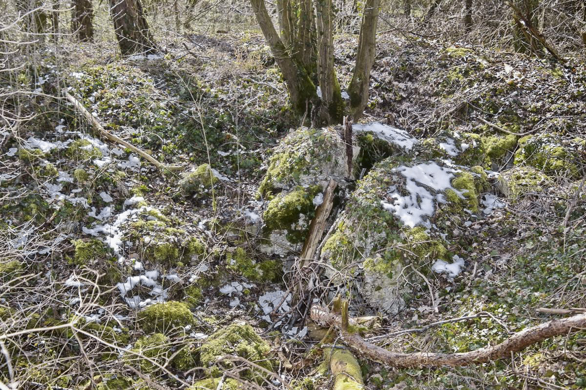 Ligne Maginot - ROUTE DE BANTZENHEIM NORD - (Blockhaus pour arme infanterie) - Restes de l'abri