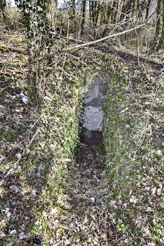 Ligne Maginot - ROUTE DE BANTZENHEIM NORD - (Blockhaus pour arme infanterie) - Entrée nord