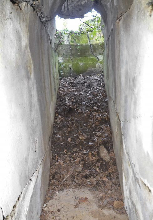 Ligne Maginot - STATION DE BANTZENHEIM 1 - (Cuve pour arme d'infanterie) - 