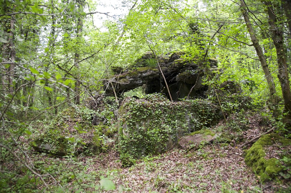 Ligne Maginot - ZIMMERPLAN - (Blockhaus de type indéterminé) - Abri détruit.
Vue arrière.