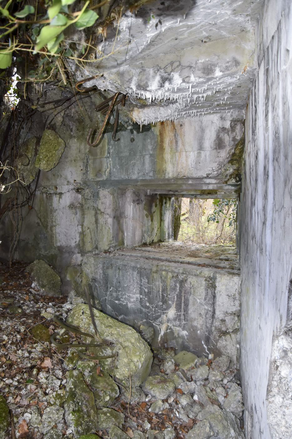 Ligne Maginot - WAELDELEZUG NORD 1 - (Blockhaus de type indéterminé) - Vue coté nord - le créneau